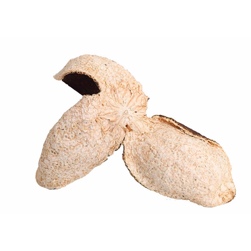 中山特級新會柑普洱茶品牌