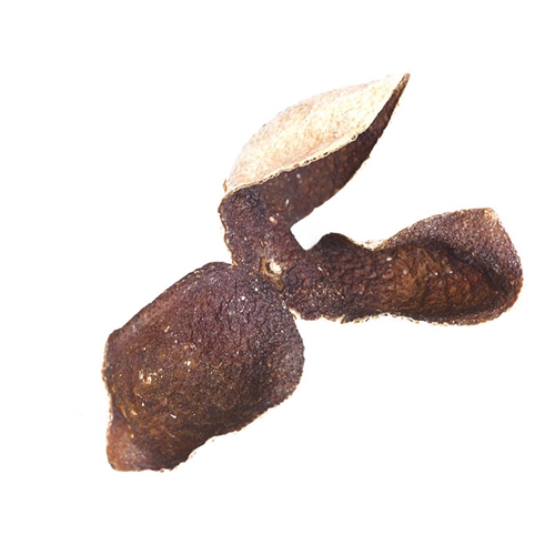 澳門怎麽泡小黄片在线播放茶價格